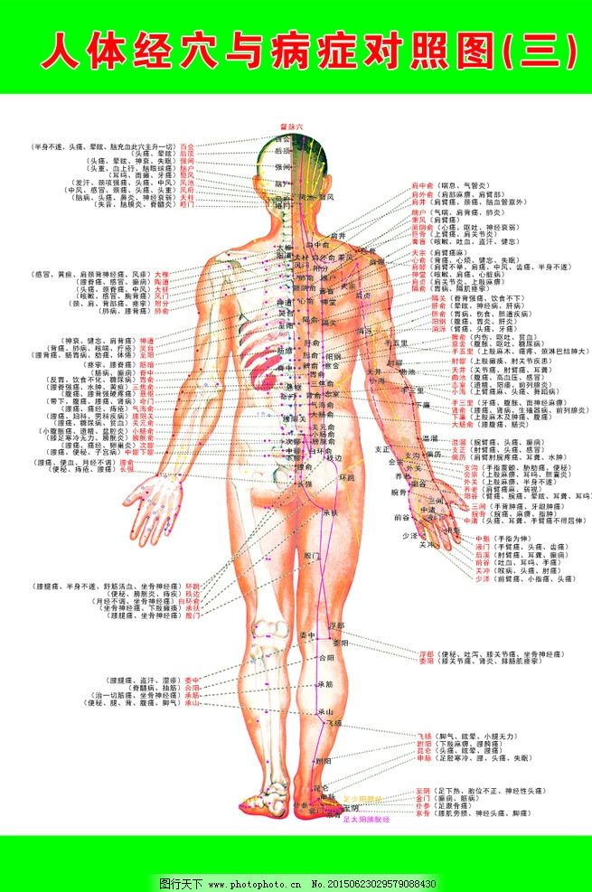 人体经穴与病症对照图图片,人体图 挂画 海报 医院-图行天下图库